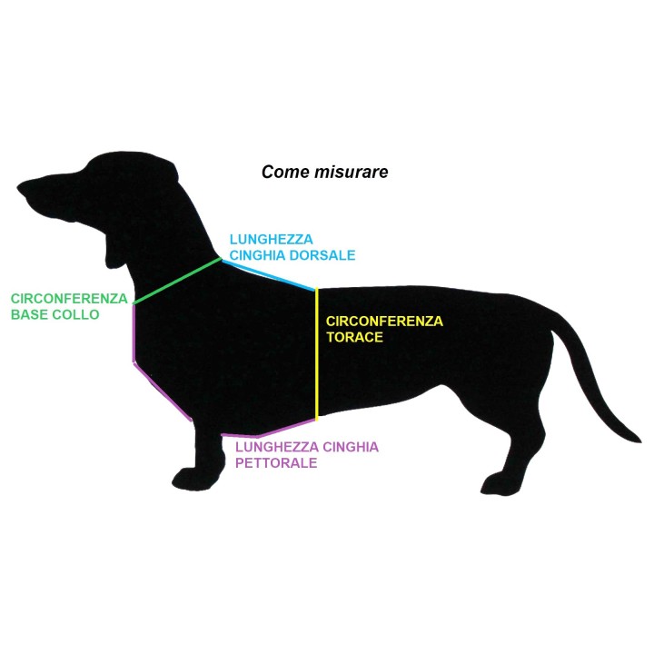 nylon harness for Dachshund