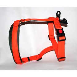 harness in biothane for tracking dogs