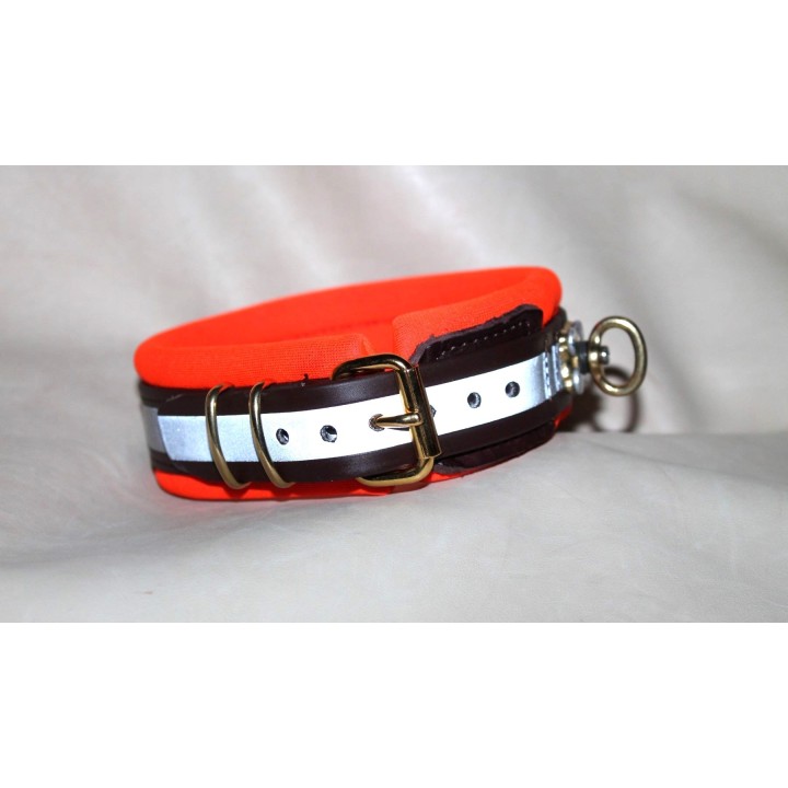 biothane collar for track dogs