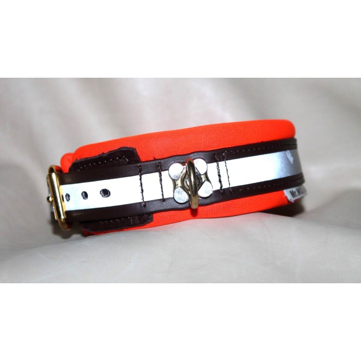 biothane collar for track dogs
