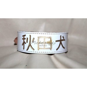 Collare per Akita Inu