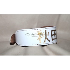 Collare per Akita Inu