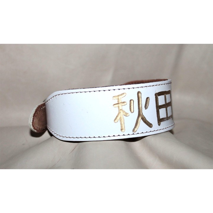 collar for akita inu