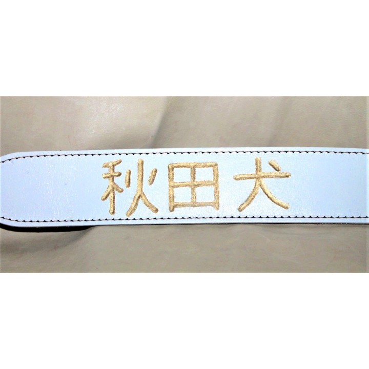 collar for akita inu