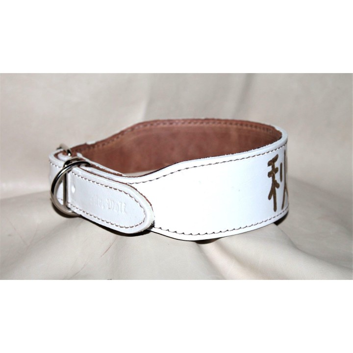 collar for akita inu
