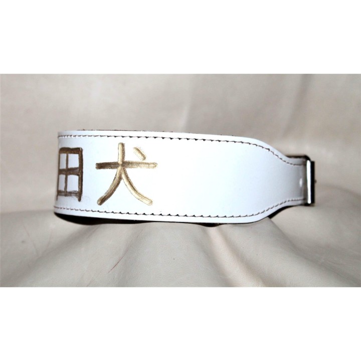 collar for akita inu