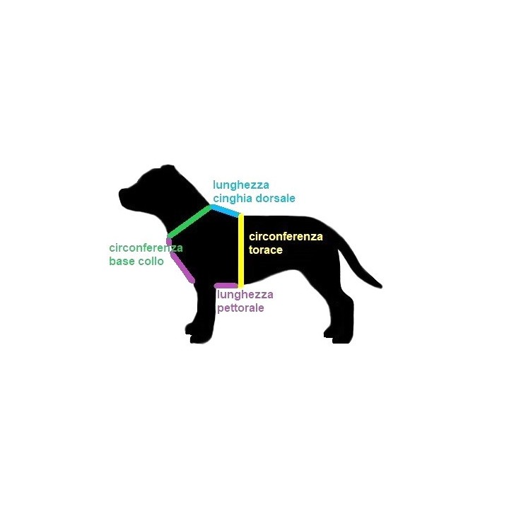 pettorina per staffordshire bull terrier