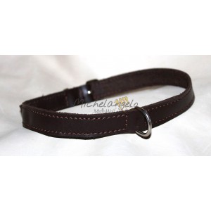 Collare in cuoio porta...