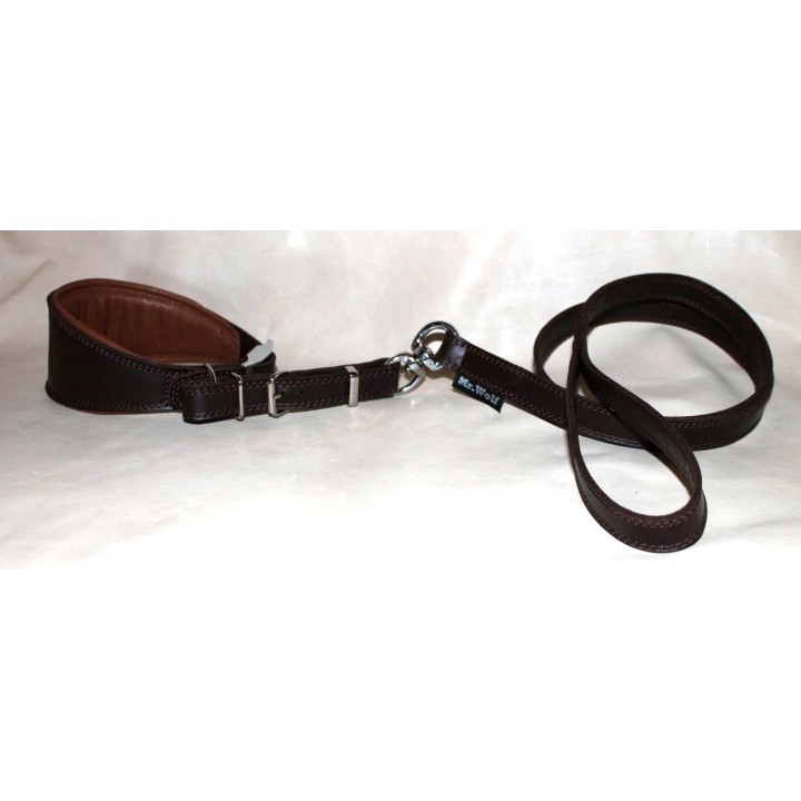 greyhound collar and leash in leather with buckle and swivel