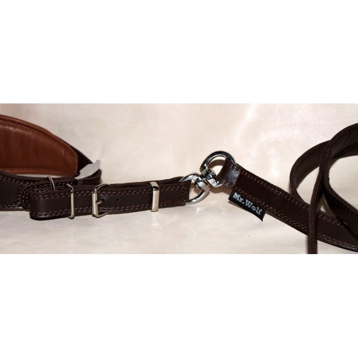 greyhound collar and leash in leather with buckle and swivel