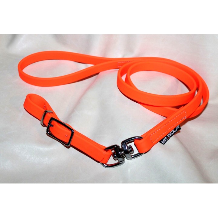 leash in biothane whith buckle