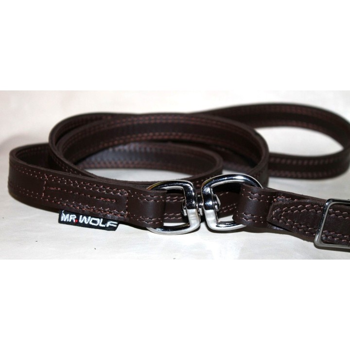 leash leather with buckle