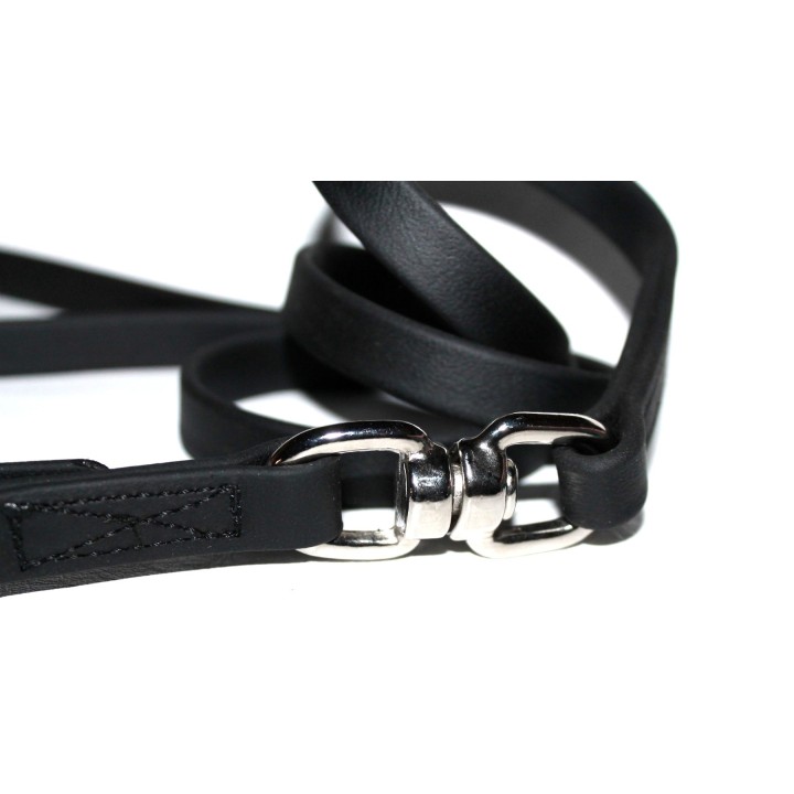biothane leash with double hook