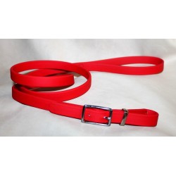 leash in biothane whith buckle