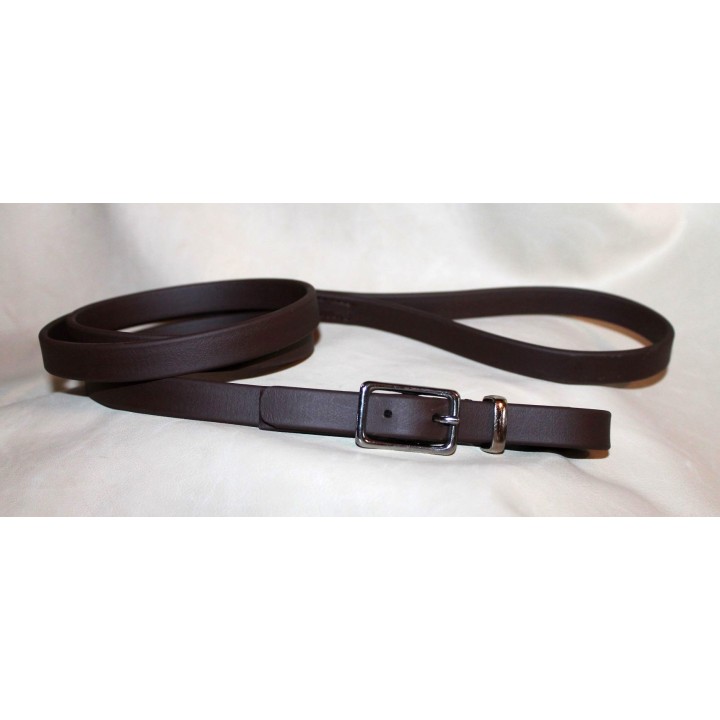 leash in biothane whith buckle