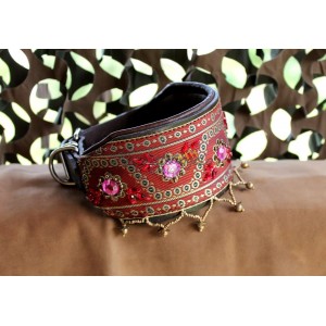 Collare Mirella per Saluki...