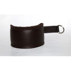 leather collar for whippet