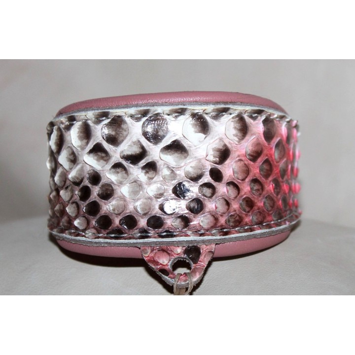 italian greyhound collar