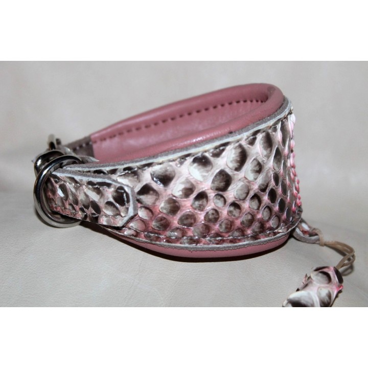 italian greyhound collar