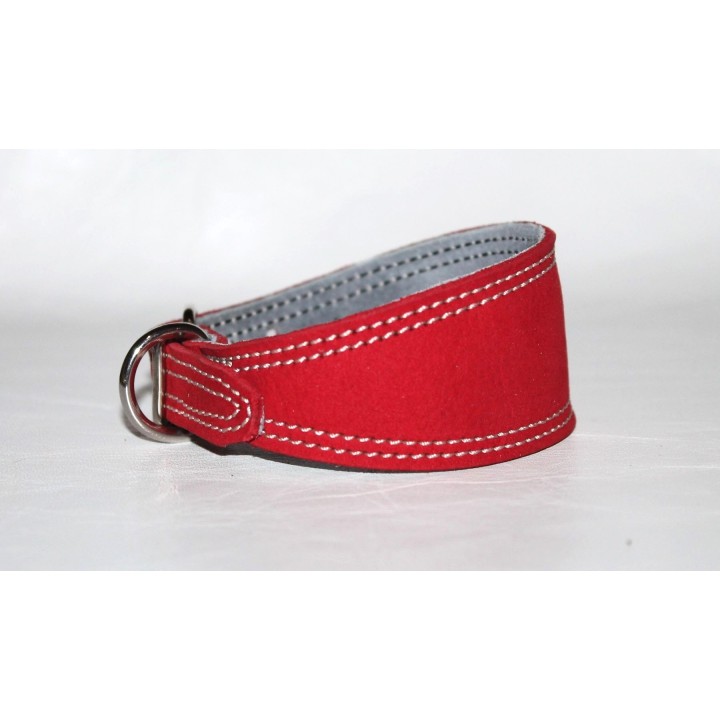 italian greyhound collar