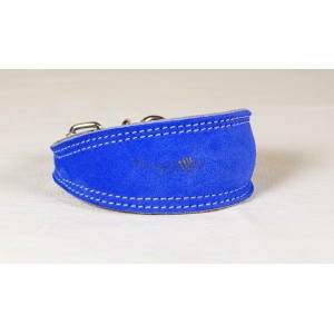 Italian Greyhound Collar Jon