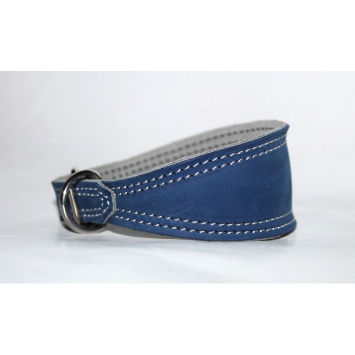 italian greyhound collar