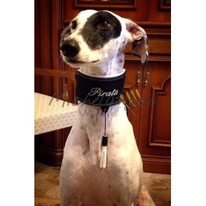 Greyhound collar with name embroidered