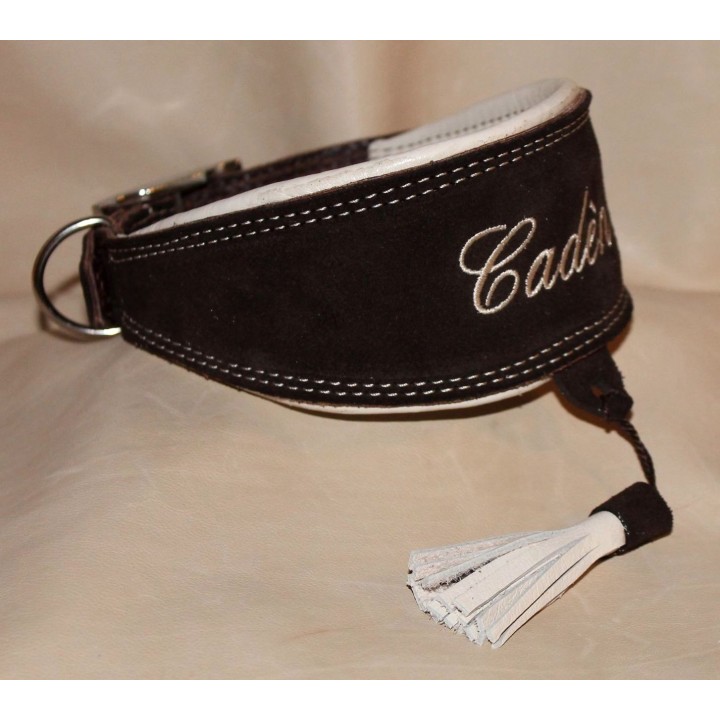 Greyhound collar with name embroidered