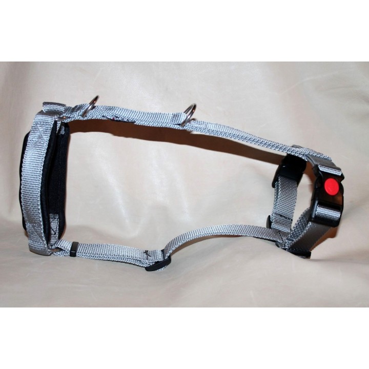 H harness for whippet