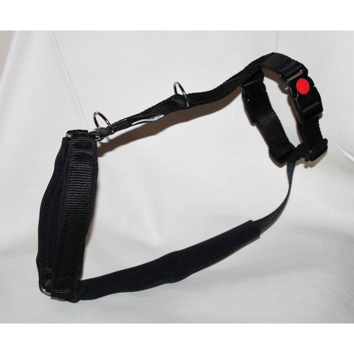 H harness for whippet