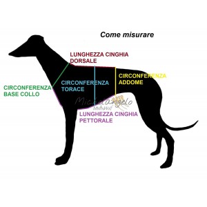 Pettorina Shaila per Galgo...