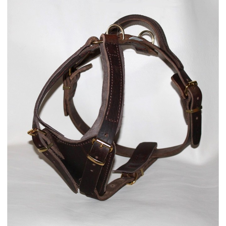 leather Harness for training