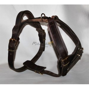 Martin Harness for training