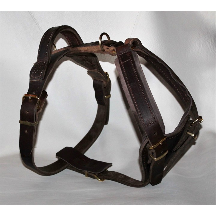 leather Harness for training
