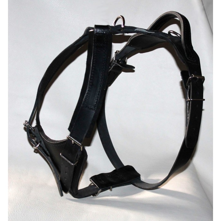 leather Harness for training