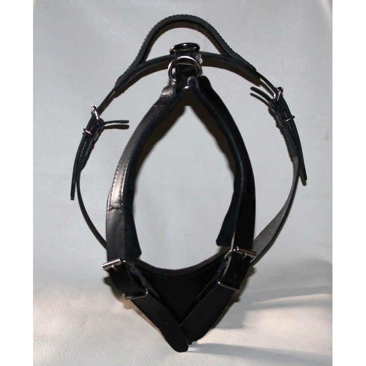 leather Harness for training