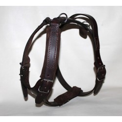 leather Harness for training