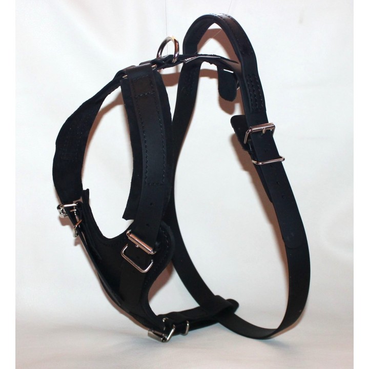 leather Harness for training