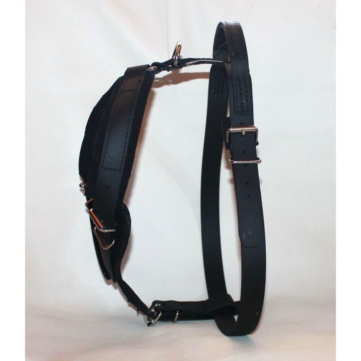 leather Harness for training