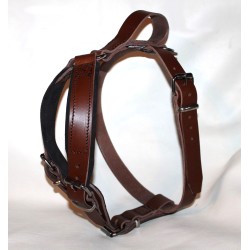 leather Harness for training
