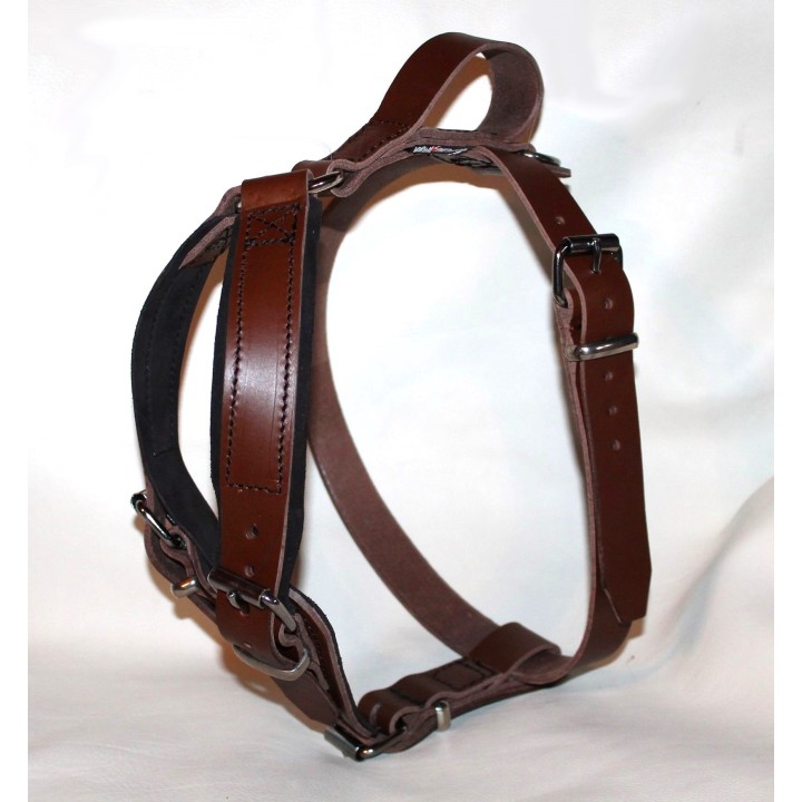 leather Harness for training