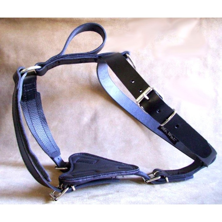 leather Harness for training