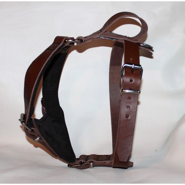 leather Harness for training