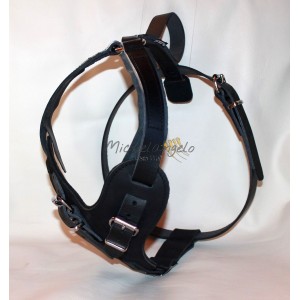 Hoover leather harness...