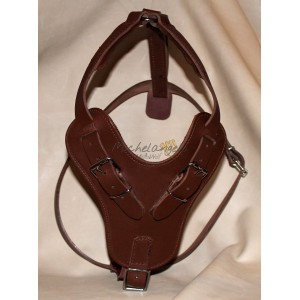 Hoover leather harness...