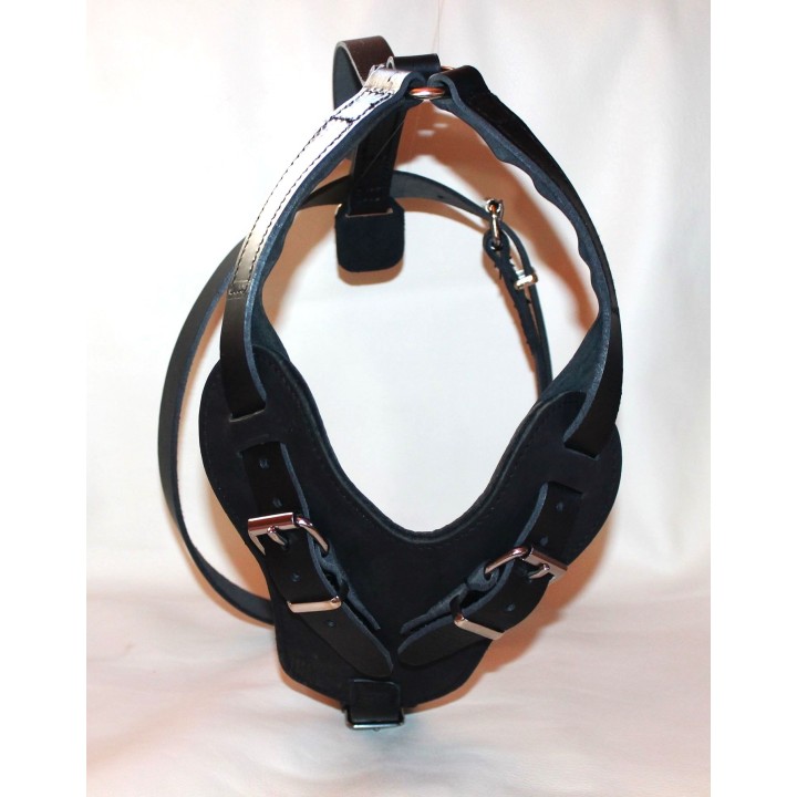 leather harness for dog