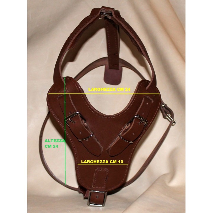 leather harness for dog