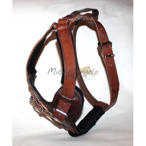 Robert leather harness
