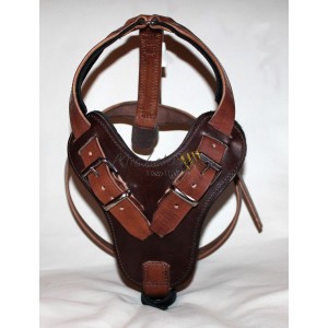 Robert leather harness