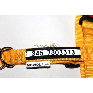 Numero di telefono inciso...